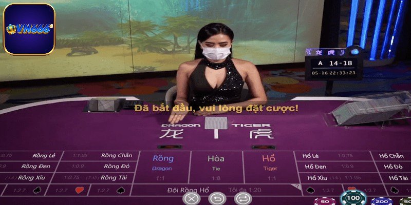 Chơi Rồng Hổ VN666 cùng MC xinh đẹp