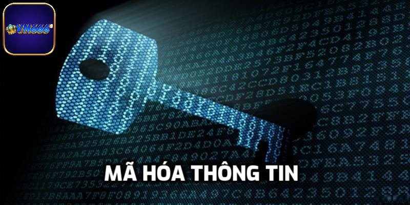Hệ thống mã hóa, tường lửa