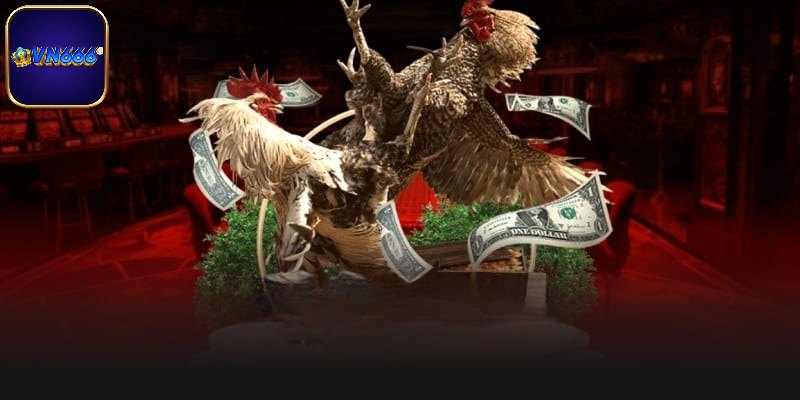 Thông tin về đá gà nổi tiếng cựa sắt