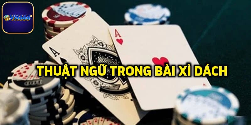 Thuật ngữ phổ biến trong xì dách mà người chơi không nên bỏ qua