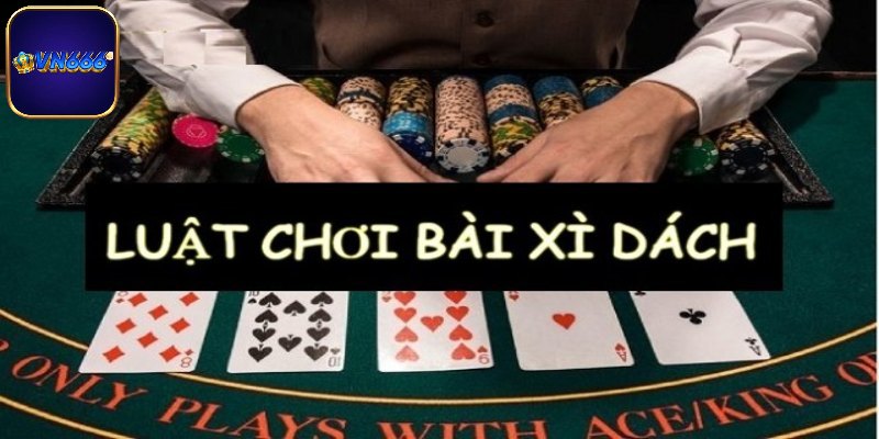 Tìm hiểu luật lệ chơi xì dách VN666 cho tân thủ