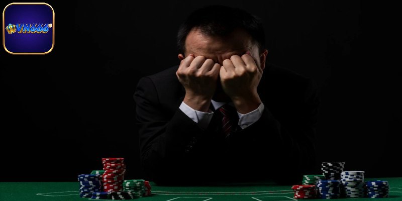 Tuân thủ các chính sách, điều khoản